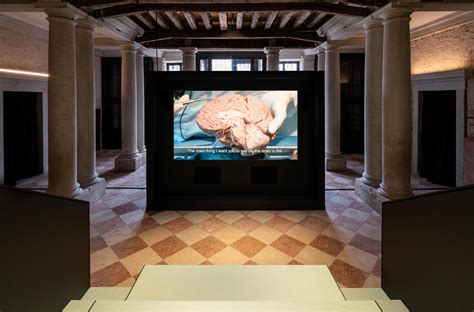 human brains fondazione prada venezia|preserve the brain milan.